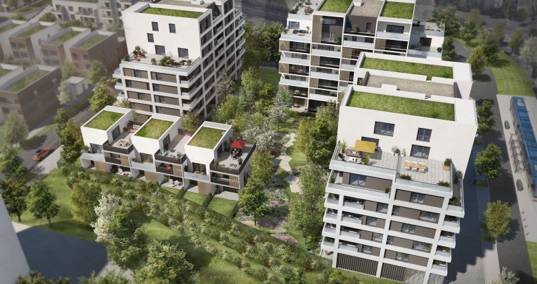 Achat / Vente immobilier neuf Toulouse quartier l'Ormeau proche Parc Alalouf (31000) - Réf. 7981